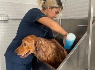 68b5e7a3 2036 4b8f ac77 d1a3d90516e2