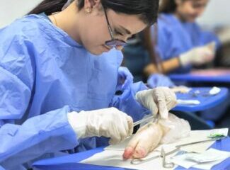 b8d81650 500f 43a3 9383 e888d87d0497